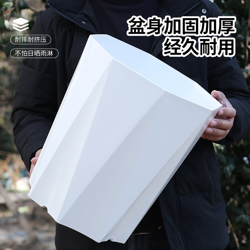 速发花盆色用客厅简约塑料盆栽发财树鸟血树龙大口径白家盆