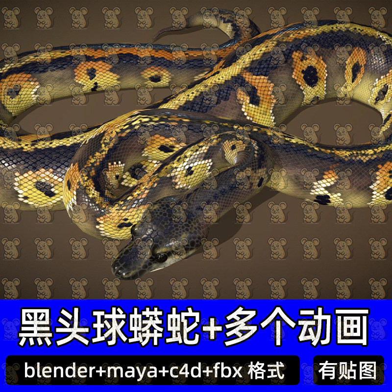 maya blender蟒蛇大蛇黑头球蛇爬行动物骨骼爬行攻击动画fbx c4d