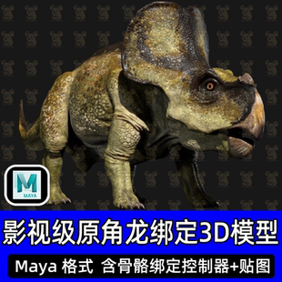 Maya写实恐龙原角龙侏罗纪动物高精度3D模型Turbosquid带骨骼绑定