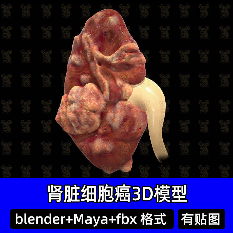 blender肾脏细胞癌输尿管结构解剖医学3d三维模型素材FBX素材maya