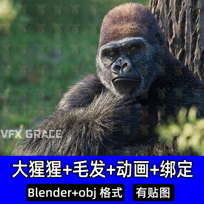blender影视级银背大猩猩猿猴猴子含毛发骨骼绑定动画3D动物模型