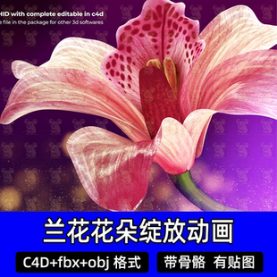 c4d写实美丽的兰花花朵绽放花盛开带绑定动画3D模型blender模型