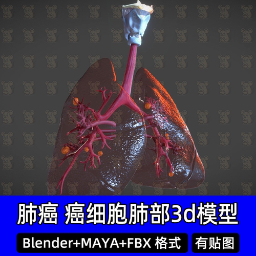 blender MAYA肺部癌细胞肺部气管呼吸系统三维模型c4d FBX 3dmax