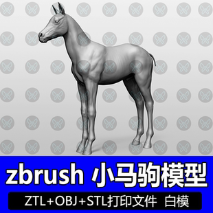 ZBrush写实小马驹逼真动物高模雕刻3D模型STL圆雕图打印文件obj