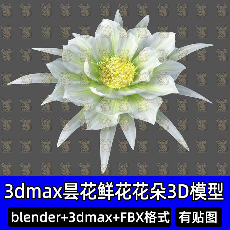 blender 3dmax影视级写实昙花鲜花花朵花瓣FBX植物3D模型c4d maya