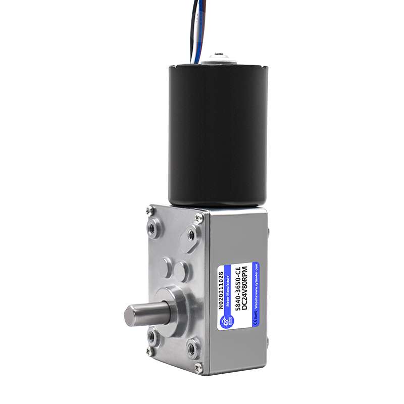 5840-3650微型直流无刷直角减速电机蜗轮蜗杆大扭力调速马达12V24