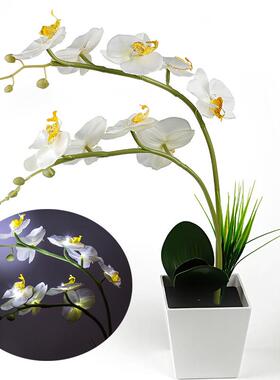 9LED蝴蝶兰花盆灯装饰灯9LED蝴蝶兰花盆仿真花灯紫色白色粉红可选