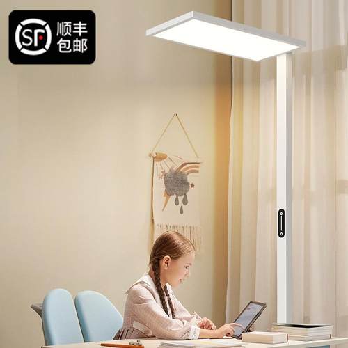 2025年新款客厅落地灯轻奢高级感卧室书桌阅读学习专业护眼长条灯