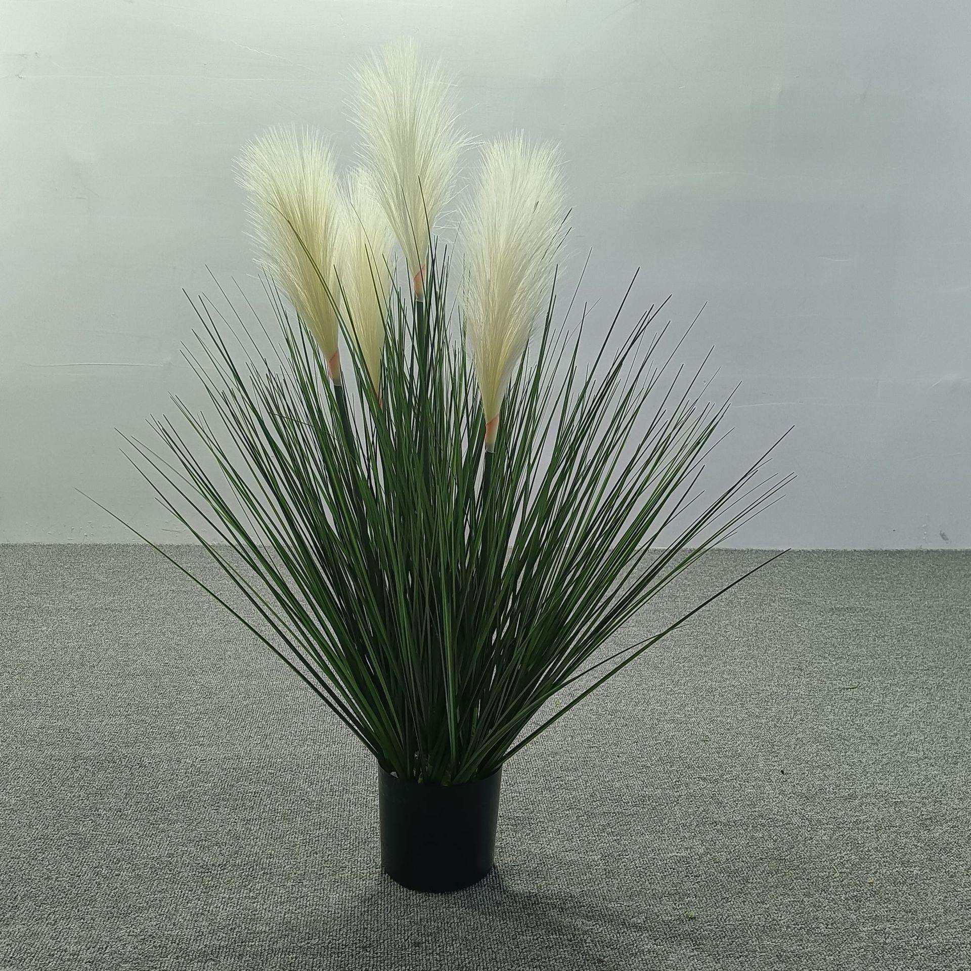 现货仿真绿植芦苇花 假花干花大束落地蒲草 场景布置芦苇盆栽,3C数码配件,USB灯,淘宝优惠券,粉丝福利购,淘宝优惠卷