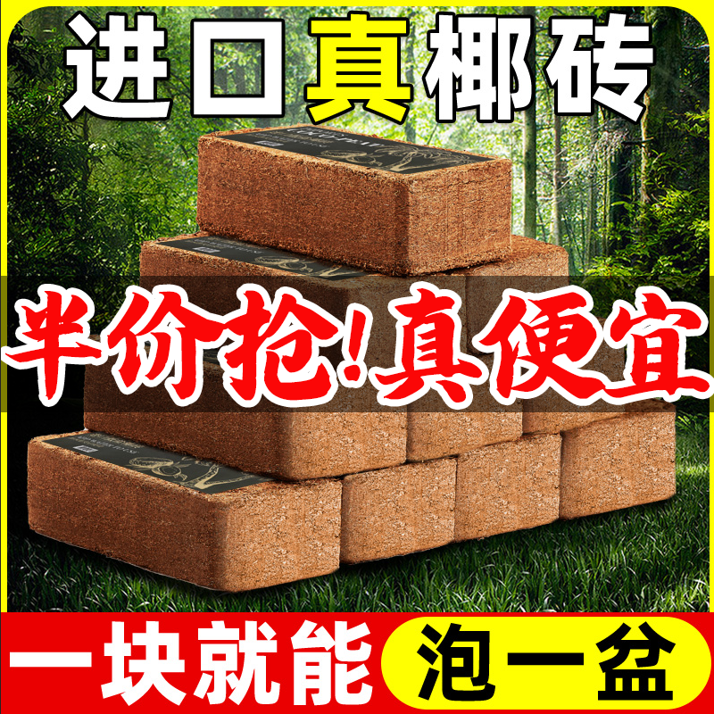 椰砖营养土通用型椰土壤椰糠种花养花种菜专用种植土大块耶砖