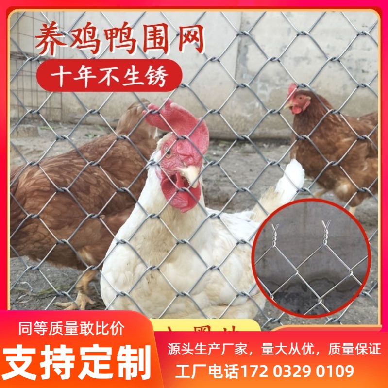 镀锌钢丝网加粗勾花网养殖围栏网