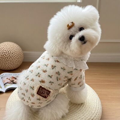 Louisdog娃娃领家居服白色猫咪狗狗秋冬款可爱衣服泰迪比熊小型犬