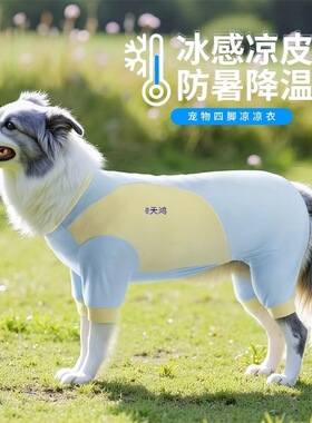 Alphaicon狗狗凉凉衣夏天防虫薄款边牧防晒衣中大型犬宠物四脚衣