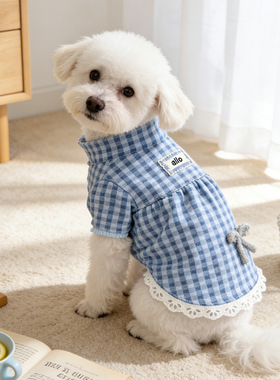 Louisdog蓝白格子宠物打底衫薄款蕾丝花边猫咪衣服小型犬狗狗春夏