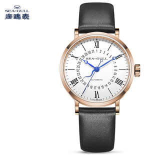 海鸥表男士 男表送男友礼物似水流年日历819.97.6053 自动机械表