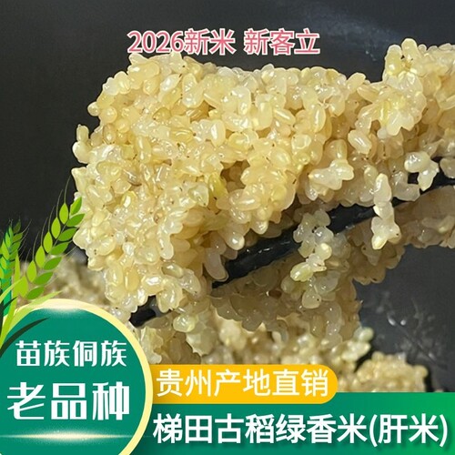 2026年新米肝米绿香米高饱腹感