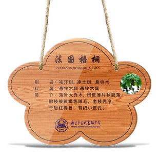 厂家直销亚克力标识牌树牌学校挂牌公园铭牌植树树木信息牌草地草坪绿化标示牌绿植名称挂牌植物介绍标牌