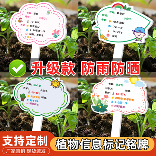 植物标记花盆牌幼儿园小学学校花卉盆栽多肉绿萝绿植标签标识牌园艺爱好者小标签养护插土牌植物信息介绍铭牌
