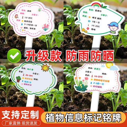 植物标记花盆牌幼儿园小学学校花卉盆栽多肉绿萝绿植标签标识牌园艺爱好者小标签养护插土牌植物信息介绍铭牌