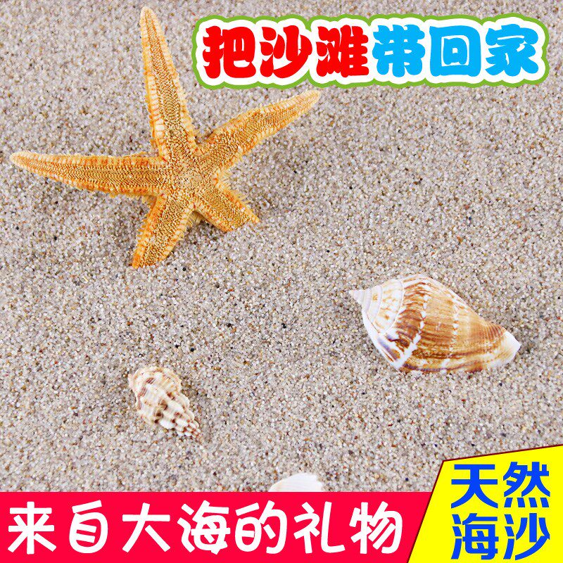 速发海沙宝细沙子玩具沙室景玩沙池盘宝沙子造内白沙代替决明子沙