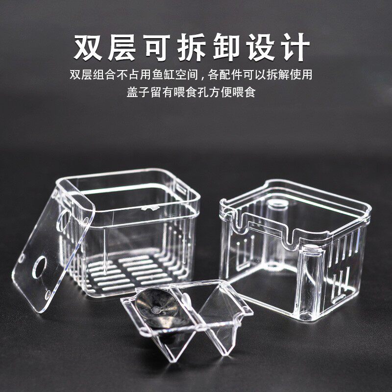 速发鱼缸隔离盒孔雀鱼繁殖乌盒龟小隔鱼亚力克鱼苗鱼离仓隔离仓
