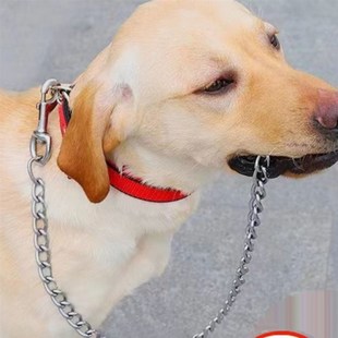 速发军犬大背犬狗胸背带型心式项圈马犬金毛德牧边牧脖圈遛狗绳