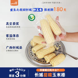 早餐白糯玉米正宗忻城糯玉米新鲜真空真空包装早餐代餐甜糯玉米棒