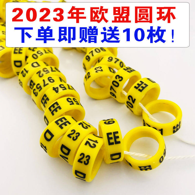 现货速发202年欧盟圆环  美系  观赏鸽 信鸽 2022年元宝圆环鸽子