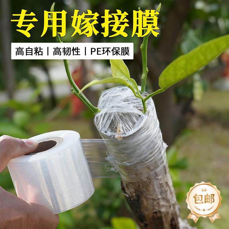 速发嫁接膜专用膜PE无需打结薄膜自粘式园林果树嫁接胶带包扎带缠