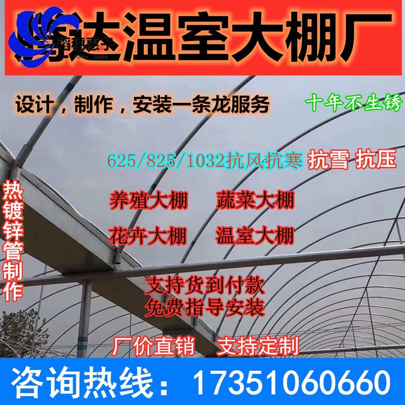 现货速发蔬菜温室大棚骨架椭圆管钢大棚养殖猪鸡抗压防雪镀锌钢管