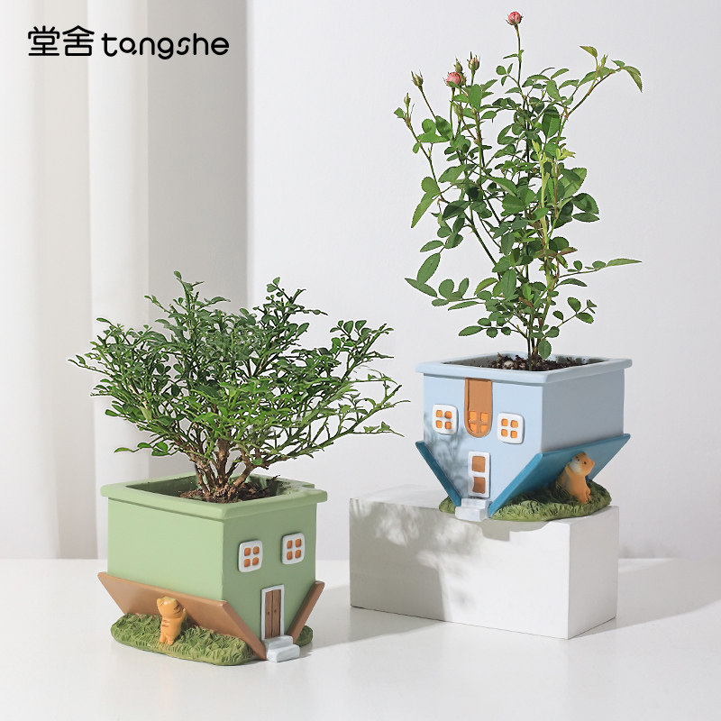 现货速发房子造型多肉花盆创意个性微景观盆栽可爱小猫咪绿植盆器