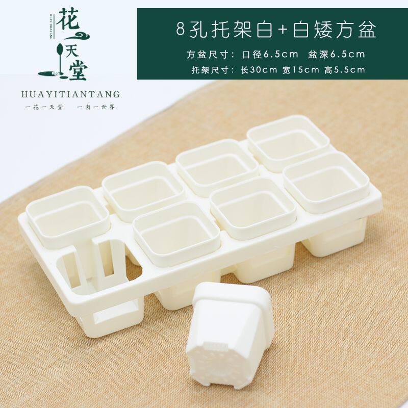 现货速发多肉植物小方盆8孔托架组合7cm方盆整理排水托架多肉育苗