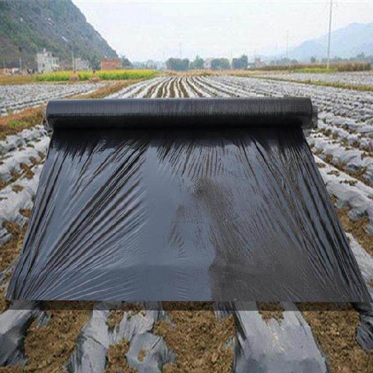 现货速发可降解农用地膜黑膜除草保温环保膜建筑黑地膜1米防草地