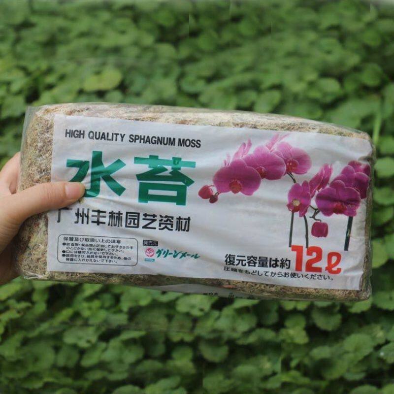 现货速发水苔蝴蝶兰土兰花用苔藓保暖干水苔多肉食虫植物微景观营