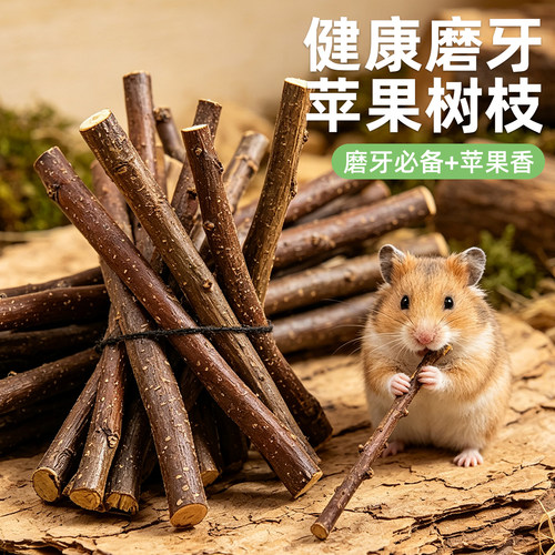 苹果枝仓鼠磨牙兔子磨牙专用棒