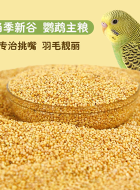 鸟粮新黄谷子带壳小米虎皮玄凤鹦鹉鸟食中小型鹦鹉文鸟饲料5斤装