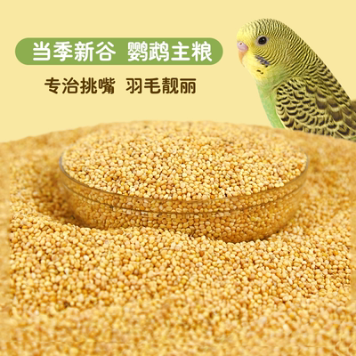 鸟粮新黄谷子带壳小米