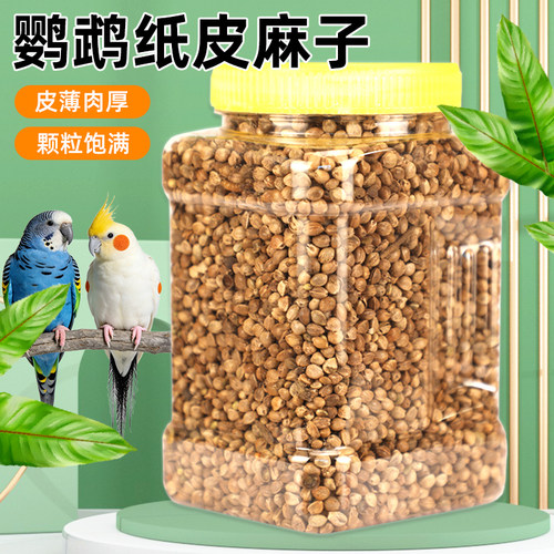 鹦鹉麻子火麻仁火麻籽