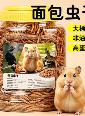 仓鼠面包虫干零食黄粉虫