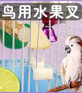 冠之亚鹦鹉鸟喂食器水果叉
