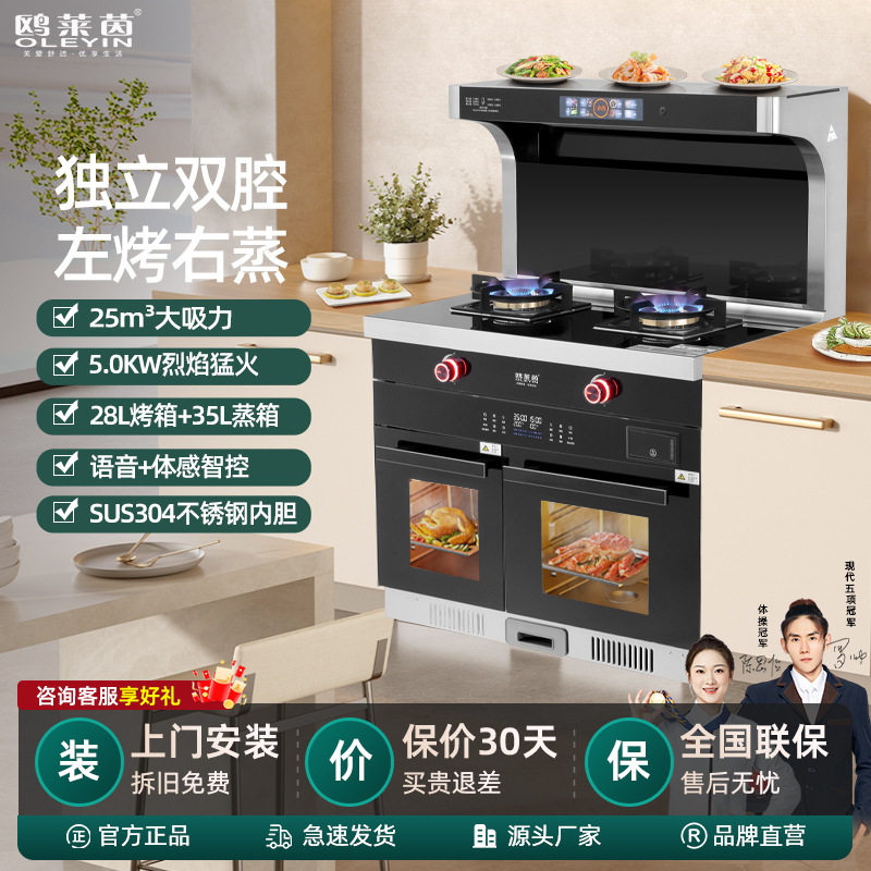 集成灶家用一级节能烟灶消套装 语音体感自动清洗 家用一体灶