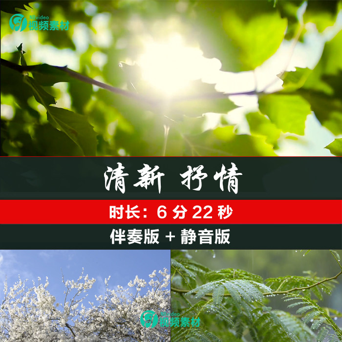 春天 万物复苏清新树叶阳光抒情唯美高清朗诵演讲led背景视频
