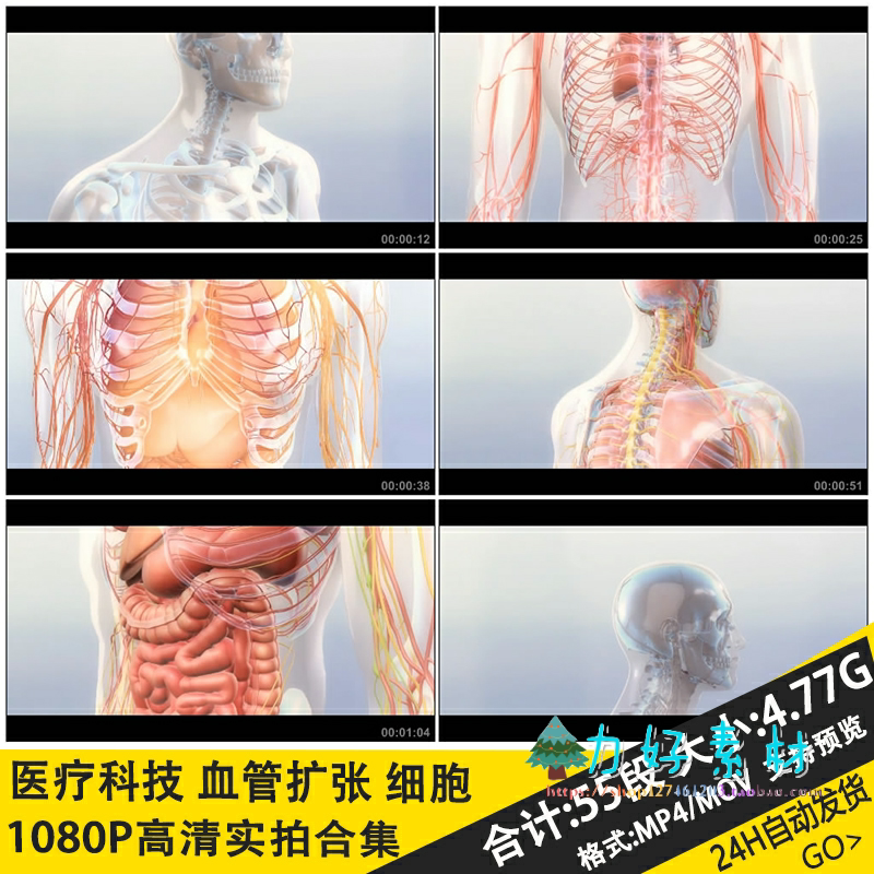 人体神经元3d血管器官血管扩张模型解剖分析动态背景高清视频素材