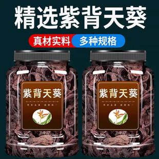 紫背天葵中药材正品红水葵天葵红天葵血皮菜两色三七草红背菜干货