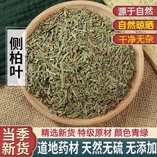 中药材侧柏叶正品官方旗舰店侧柏叶粉阴干侧柏叶粉侧伯叶扁柏叶干