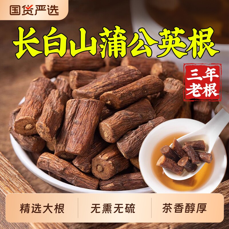 蒲公英根茶精选大根长白山野生蒲公英整根正品新茶干蒲公英泡茶水
