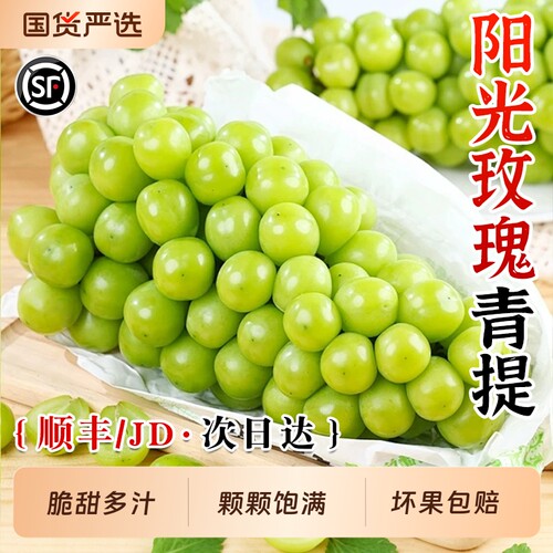 阳光玫瑰葡萄无籽青提新鲜水果晴王葡萄香印提子当季现摘整箱包邮