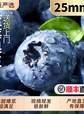 云南蓝莓新鲜水果当季蓝梅鲜果现摘高山怡颗孕妇大果整箱l25包邮