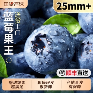 包邮 云南蓝莓新鲜水果当季 蓝梅鲜果现摘高山怡颗孕妇大果整箱l25