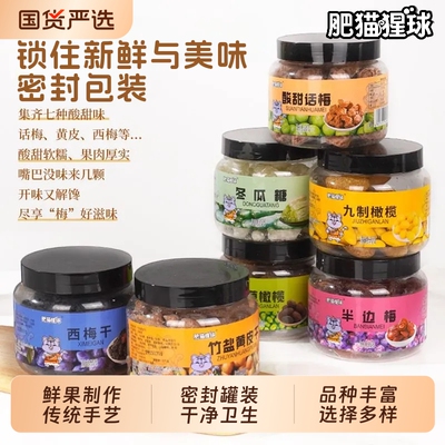 罐装蜜饯话梅九制榄黄皮干西梅干半边梅冬瓜糖甘草榄休闲特产零食